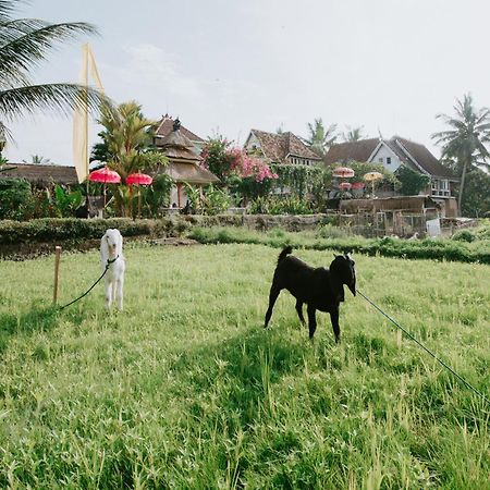 The Rice Joglo Eco-Stay Ubud Exteriér fotografie